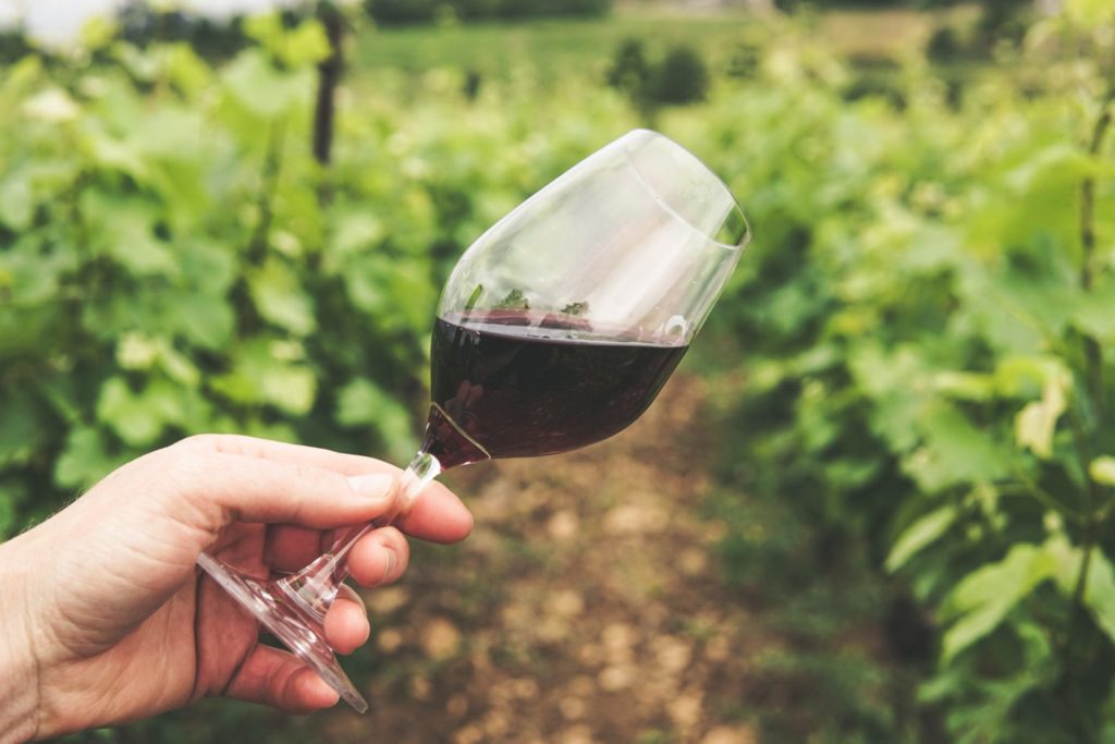 Vins biodynamiques 2